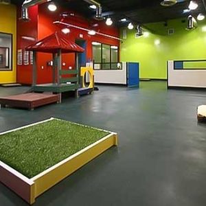 Dog Daycare Flooring
